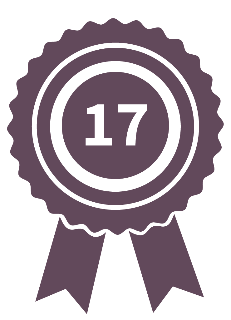 Odoo 17 certification