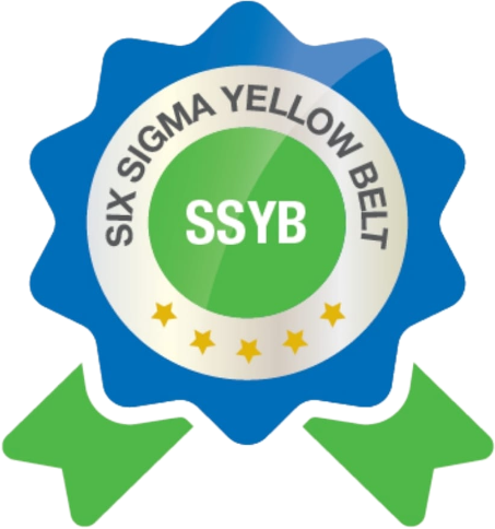 Six Sigma Yellow Belt